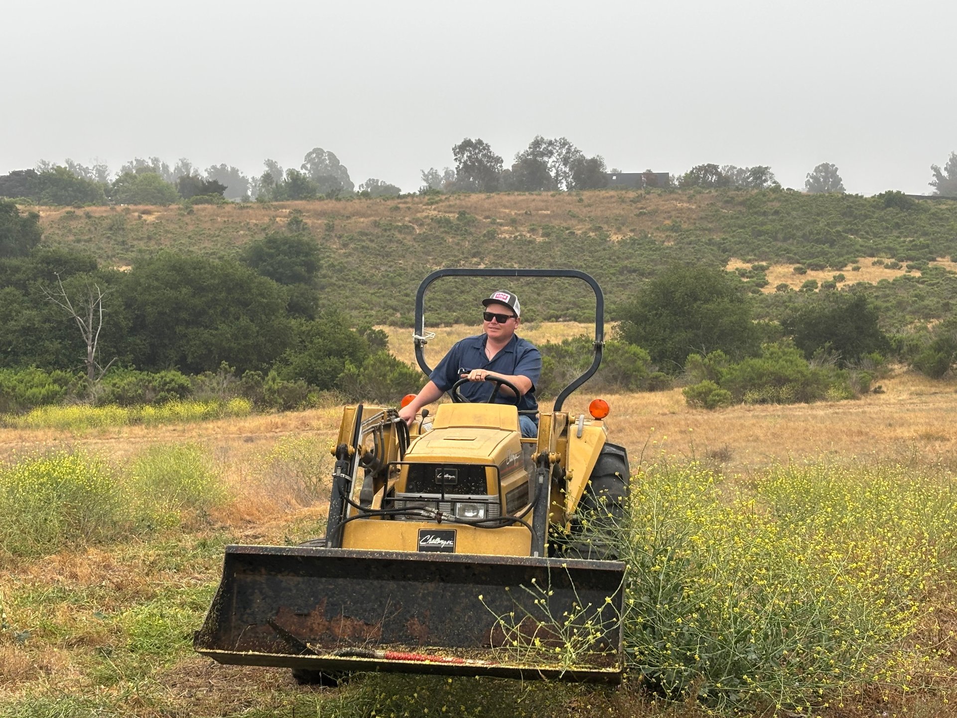 Mowing the fairways 