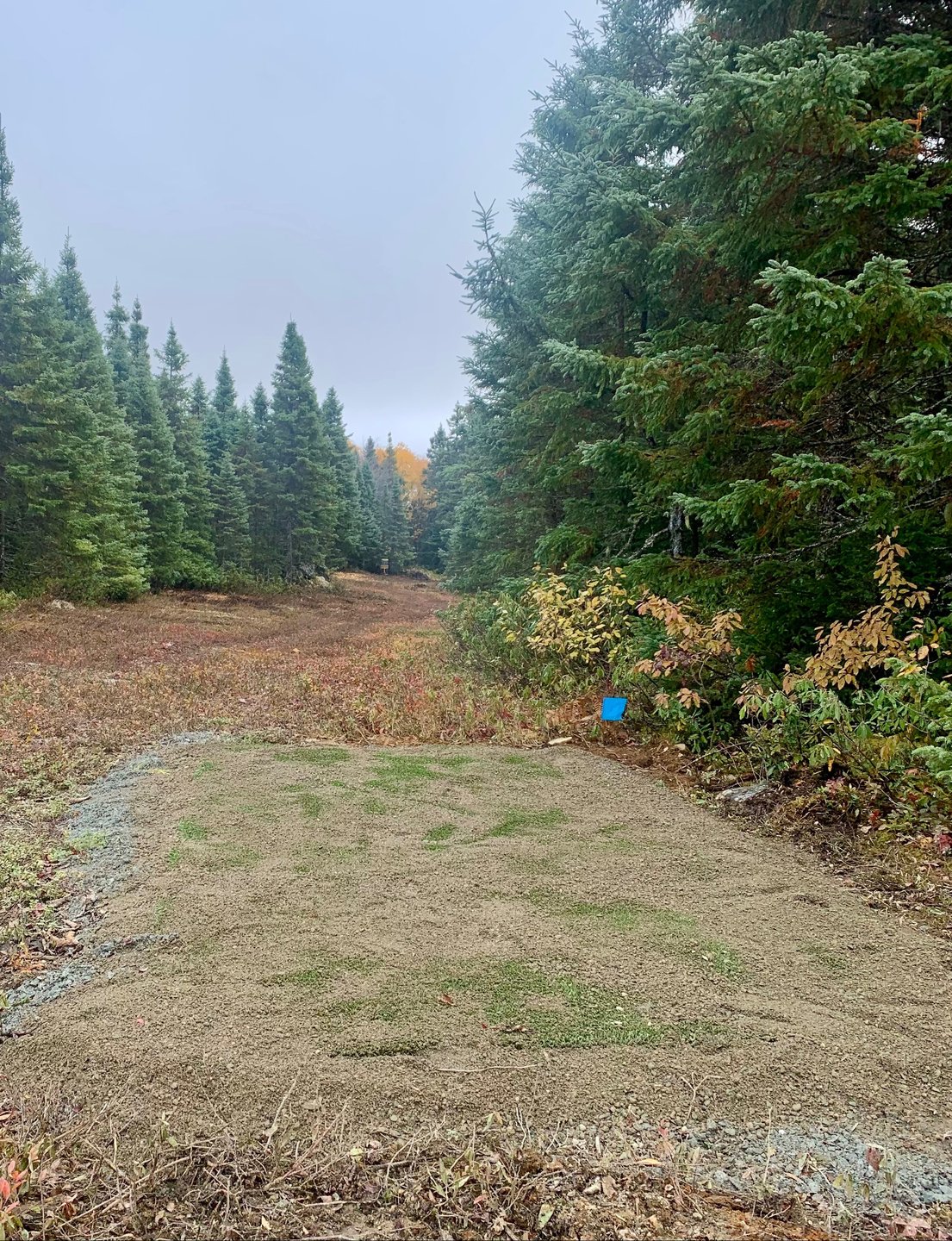 View from the Blue tee