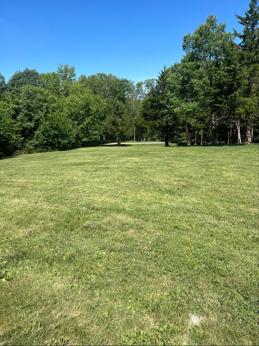 Hole #3 standing on tee pad facing fairway 