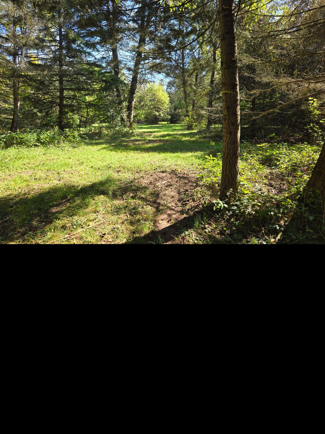 Middle of fairway looking back towards tee