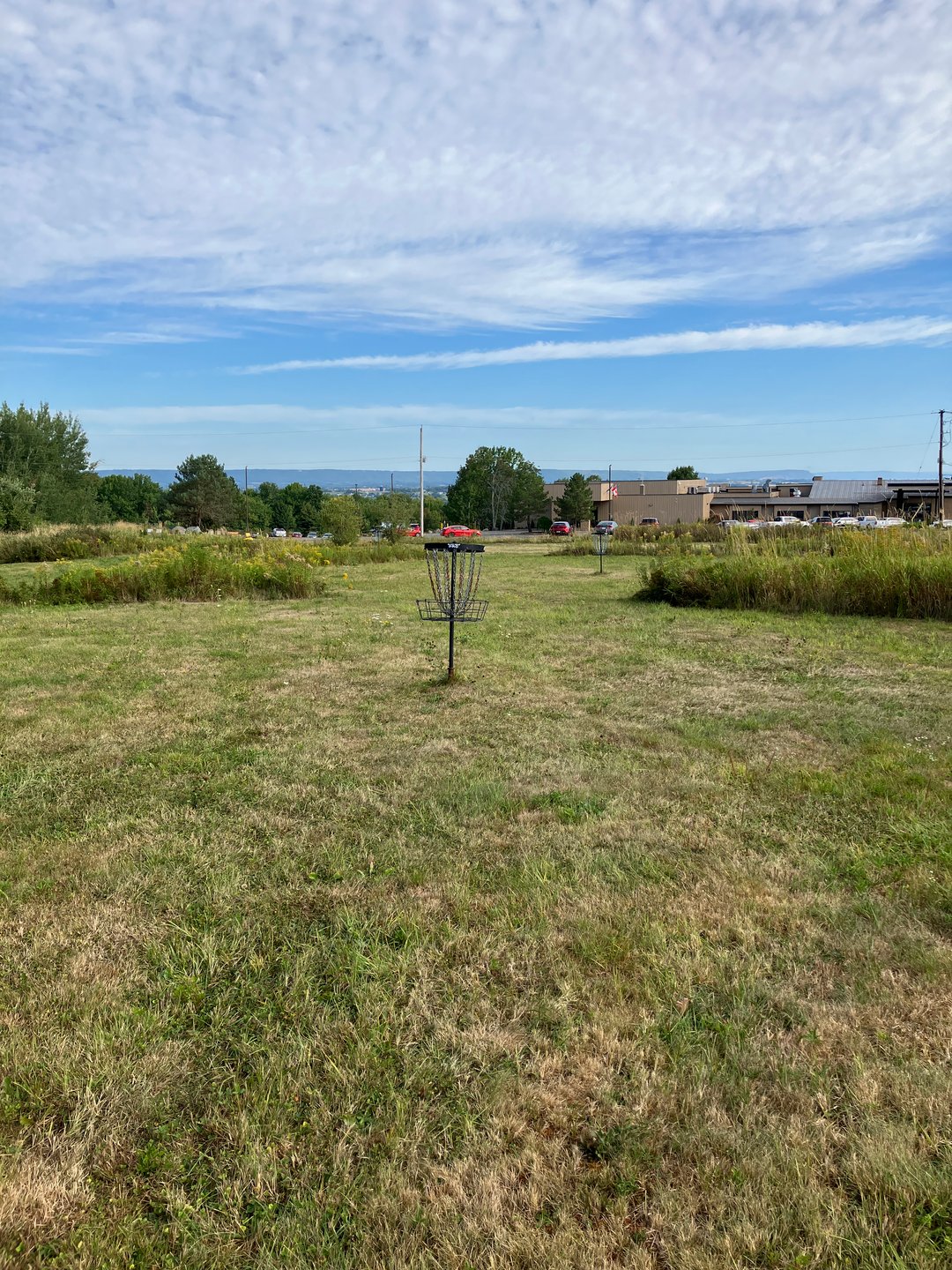 Hole 6 basket