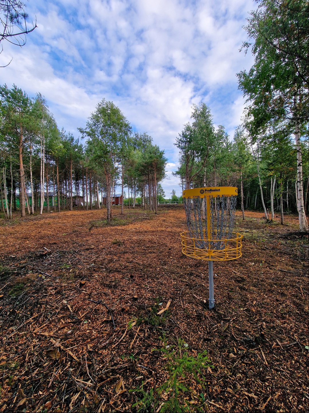 Course photo
