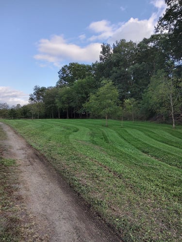 Fairway approaching a wooded green