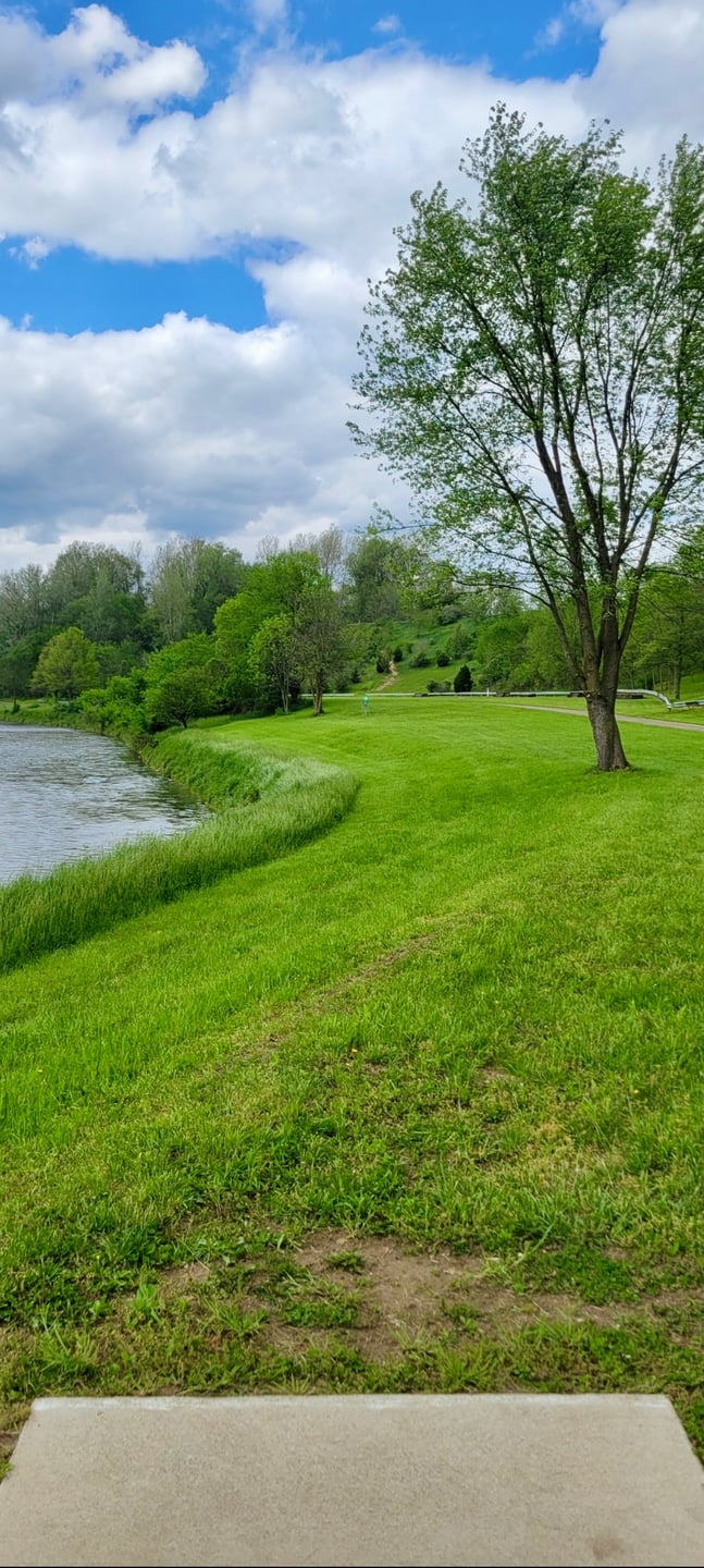 Riverview DGC