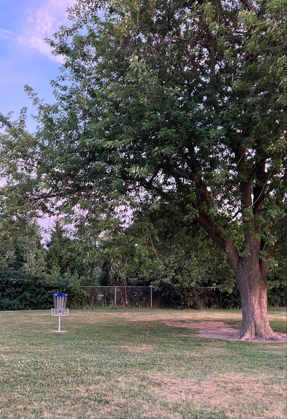 Blue basket