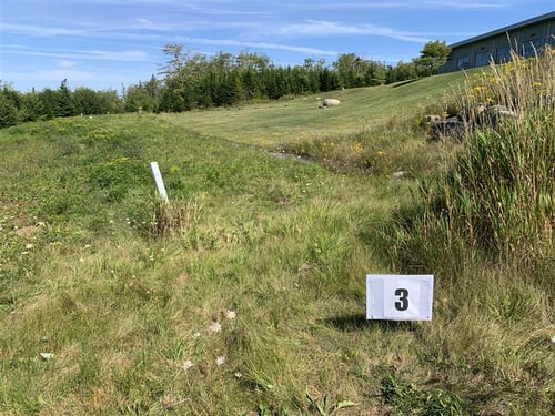 Course photo