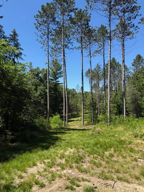 Hole 13 Tee