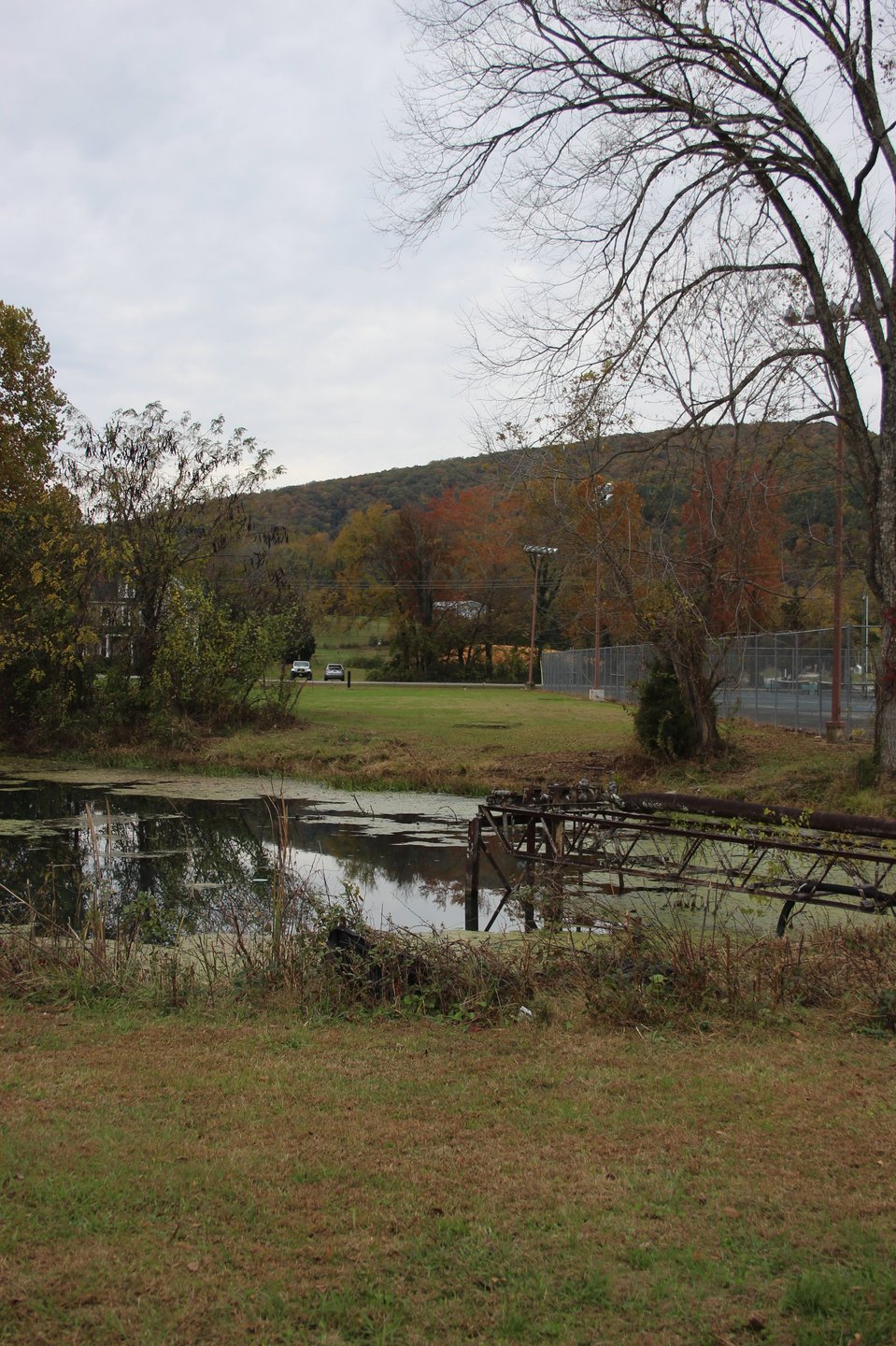 View from the landing zone across the pond.