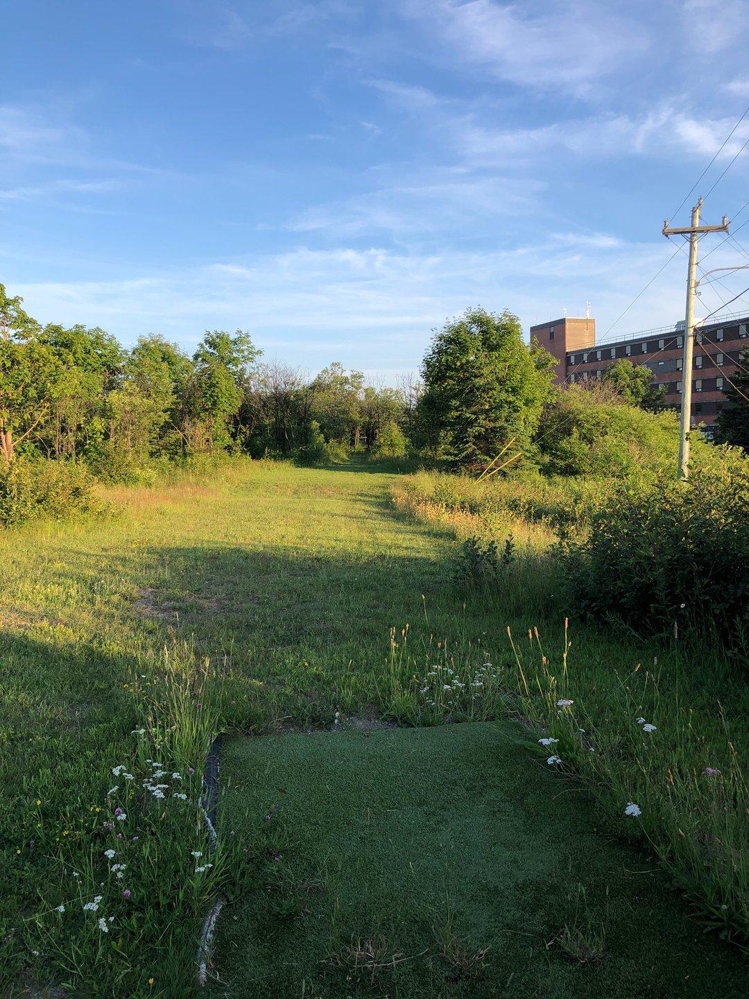 Hole 6 from red tee
