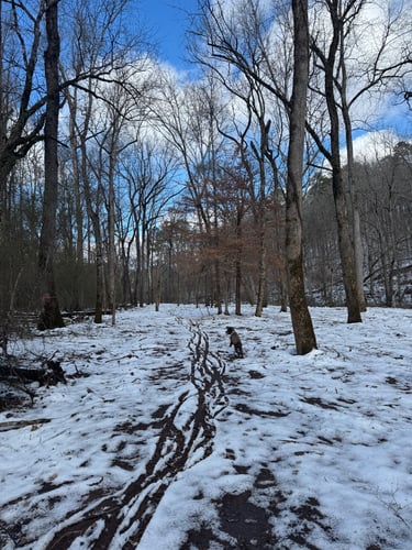 Fairway of hole 2.