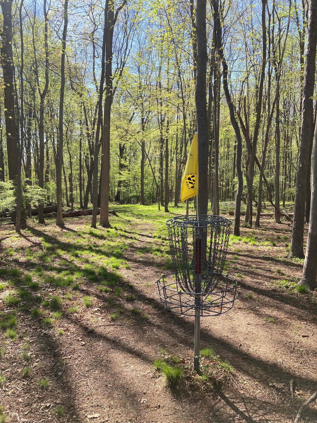 View from Hole 12 basket back up fairway