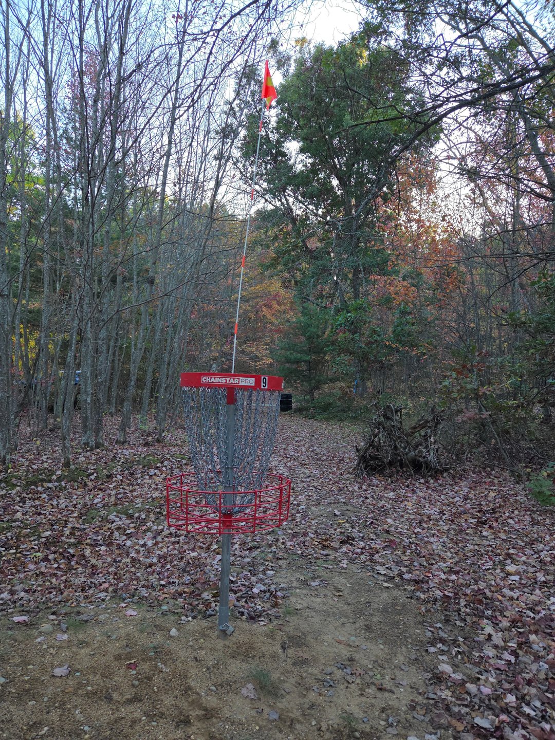 # 9 basket