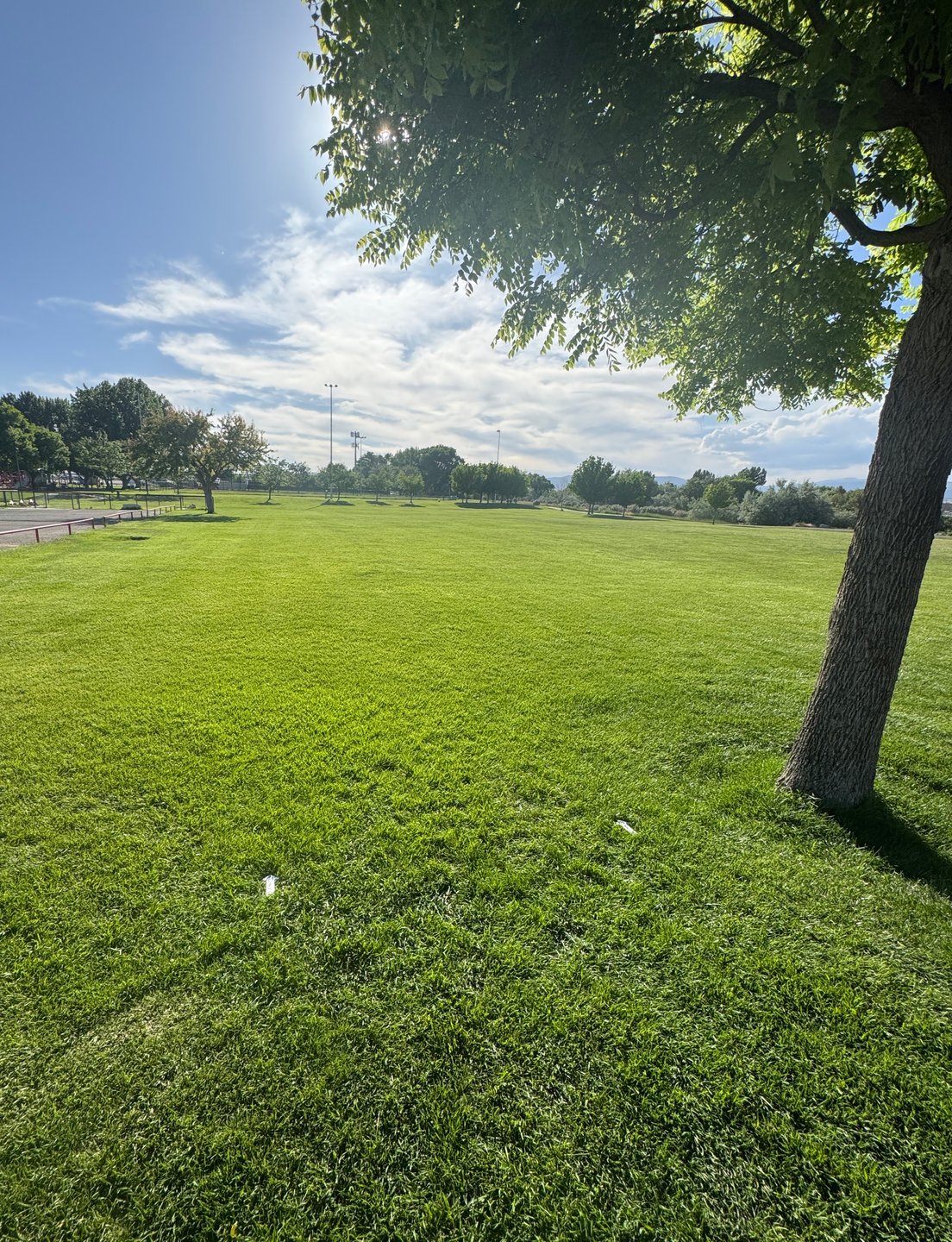 Hole 1 Tee Markers