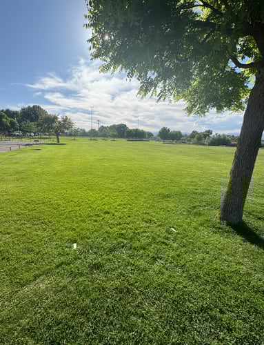 Hole 1 Tee Markers