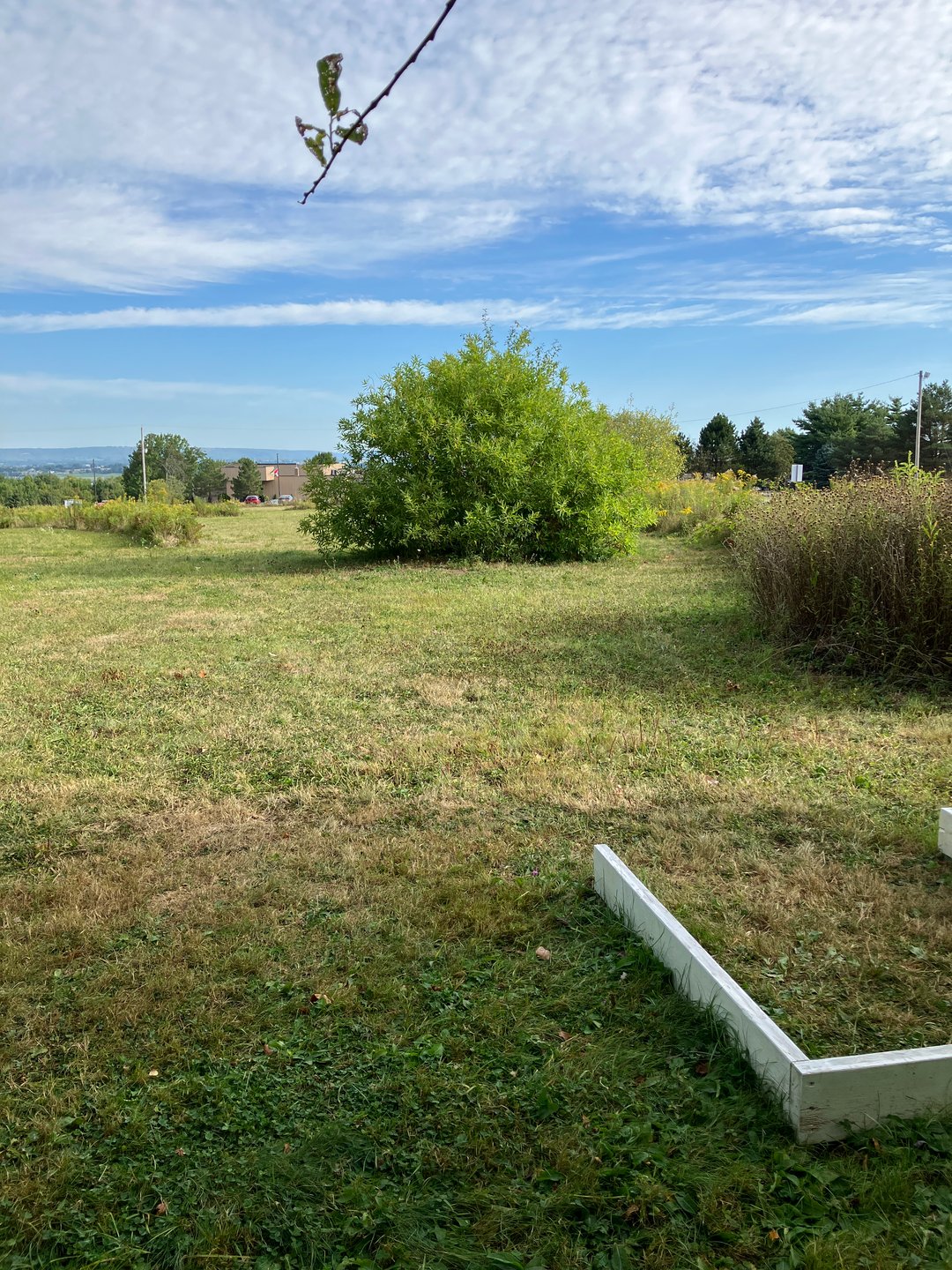 Hole 6 tee