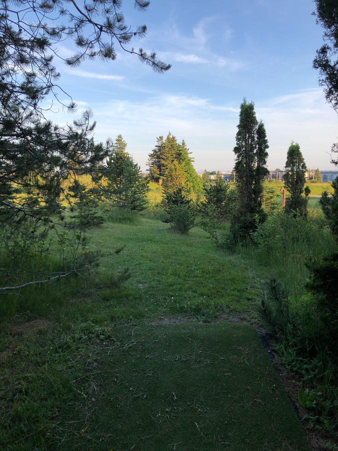 Hole 8 from blue tee