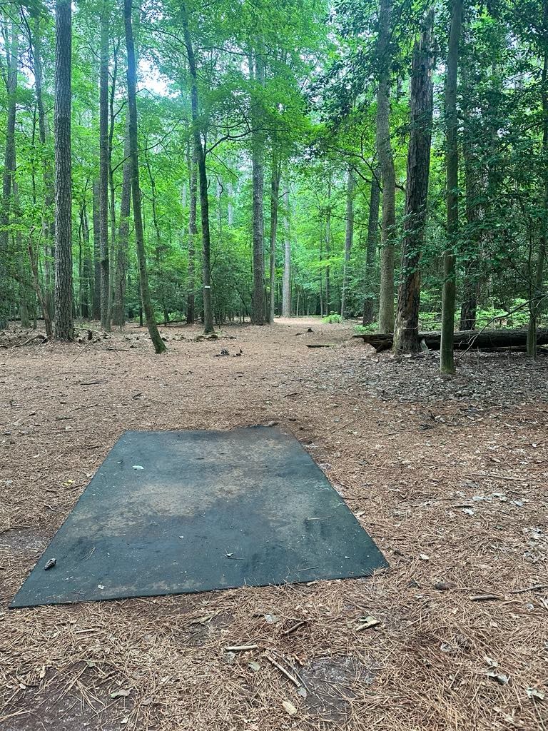 View from long... long U shape 410 to Gold

Paver Tee install scheduled for 11/01/2025

