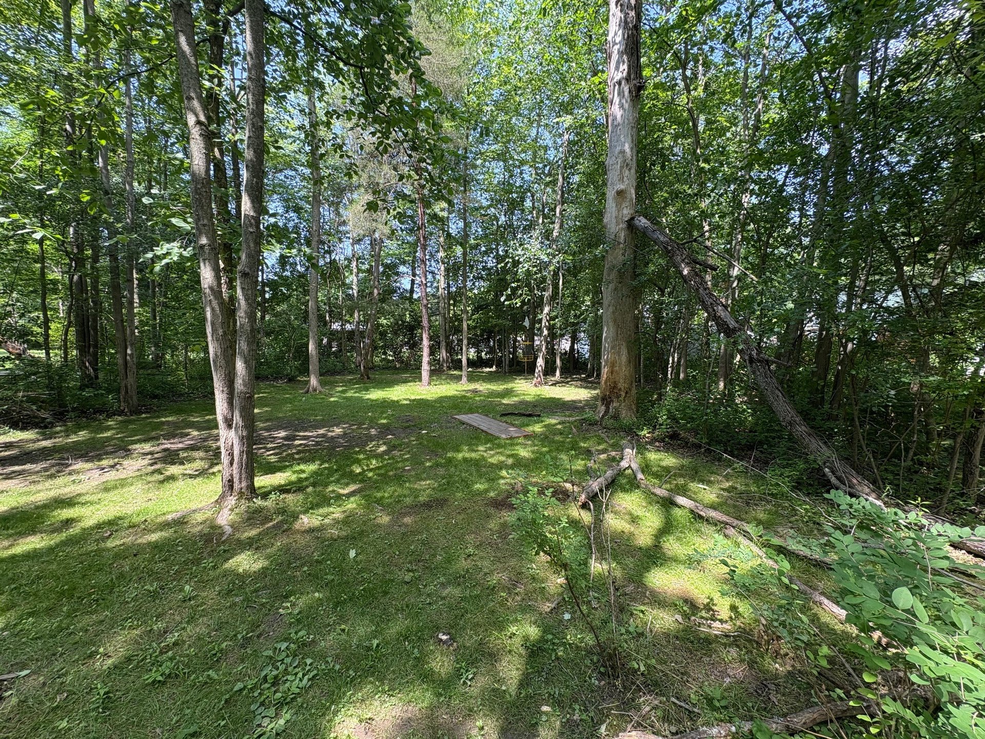 View from fairway 3 to the basket