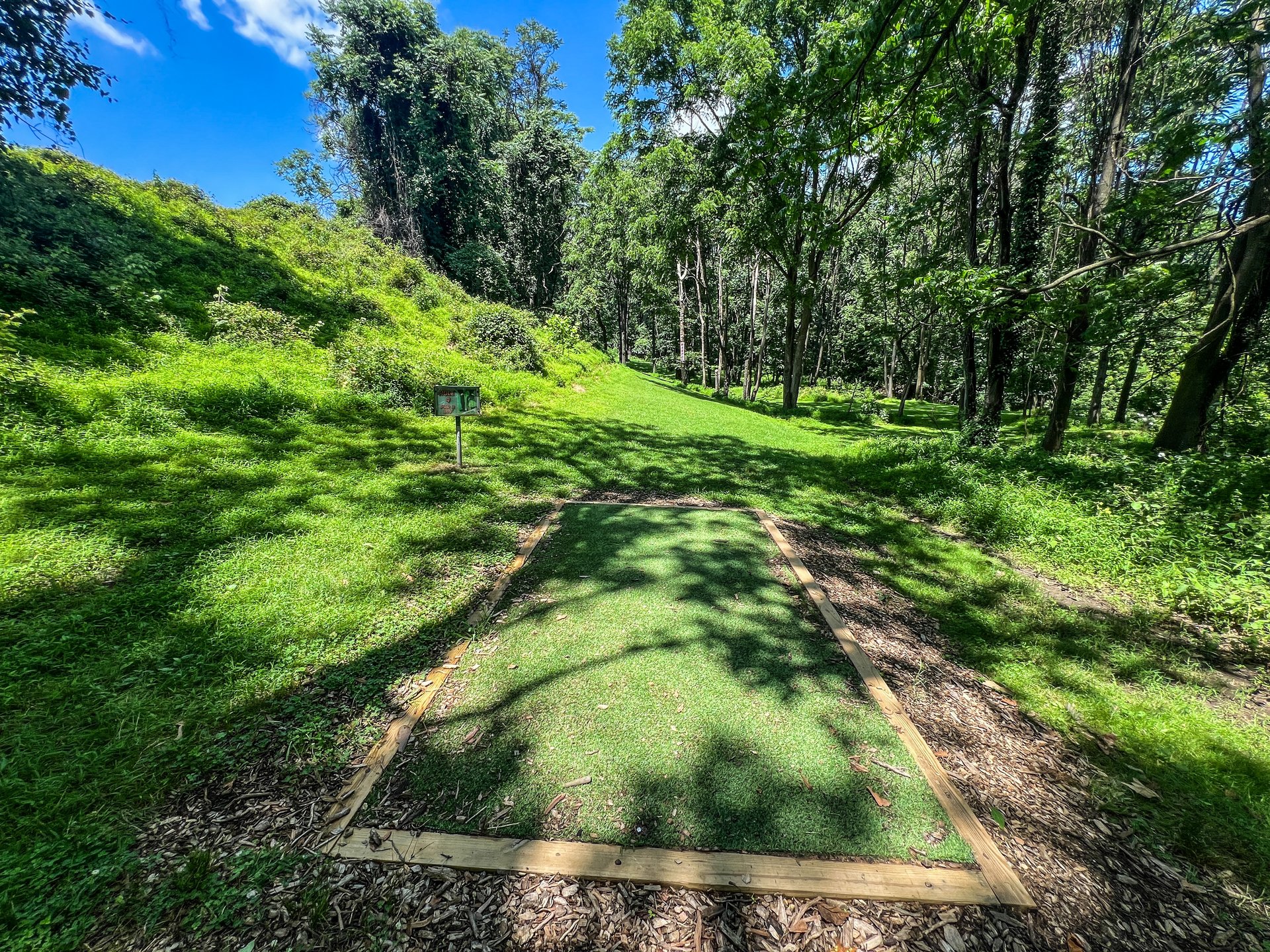 Hole 4's tee. Par 3. Pink basket is straight ahead and is 314 ft. Yellow basket is straight ahead and around the corner to the left, and is 338 ft. 