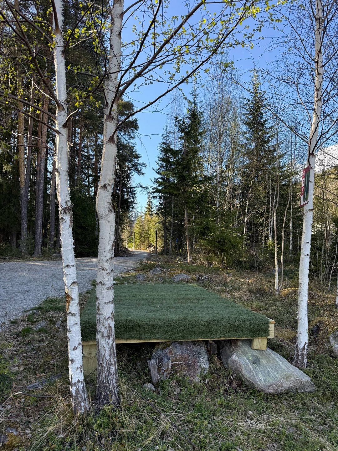 Rødt utkast