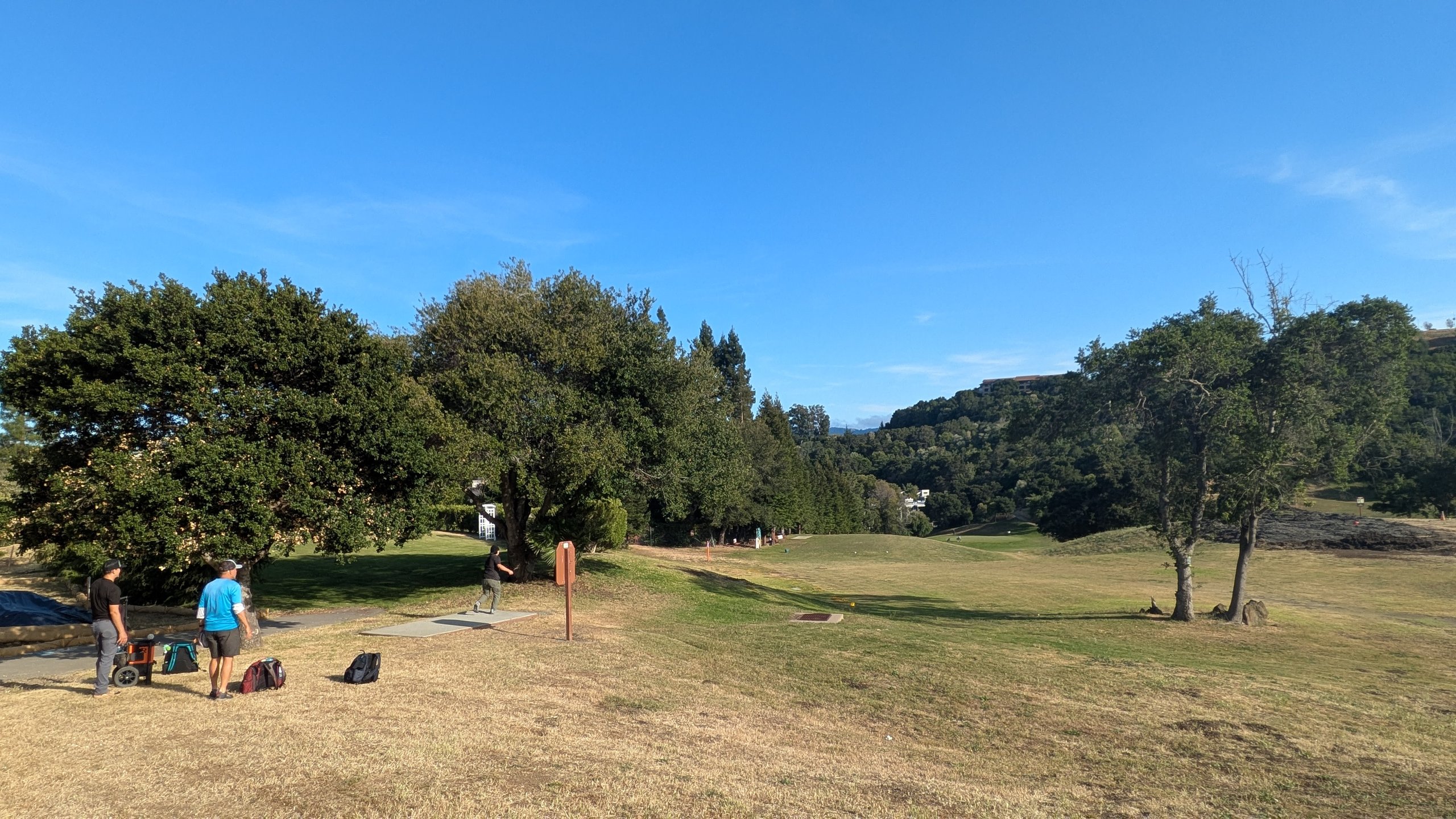 Long tee pad for hole 1/10