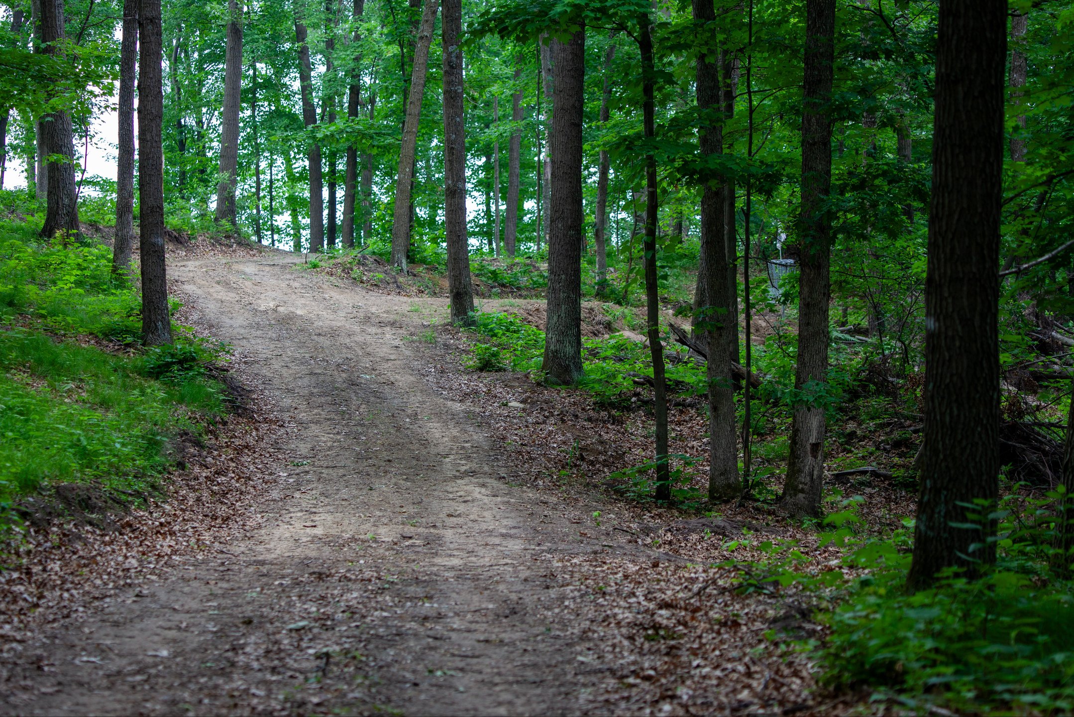 Fairway and Basket of Hole 2