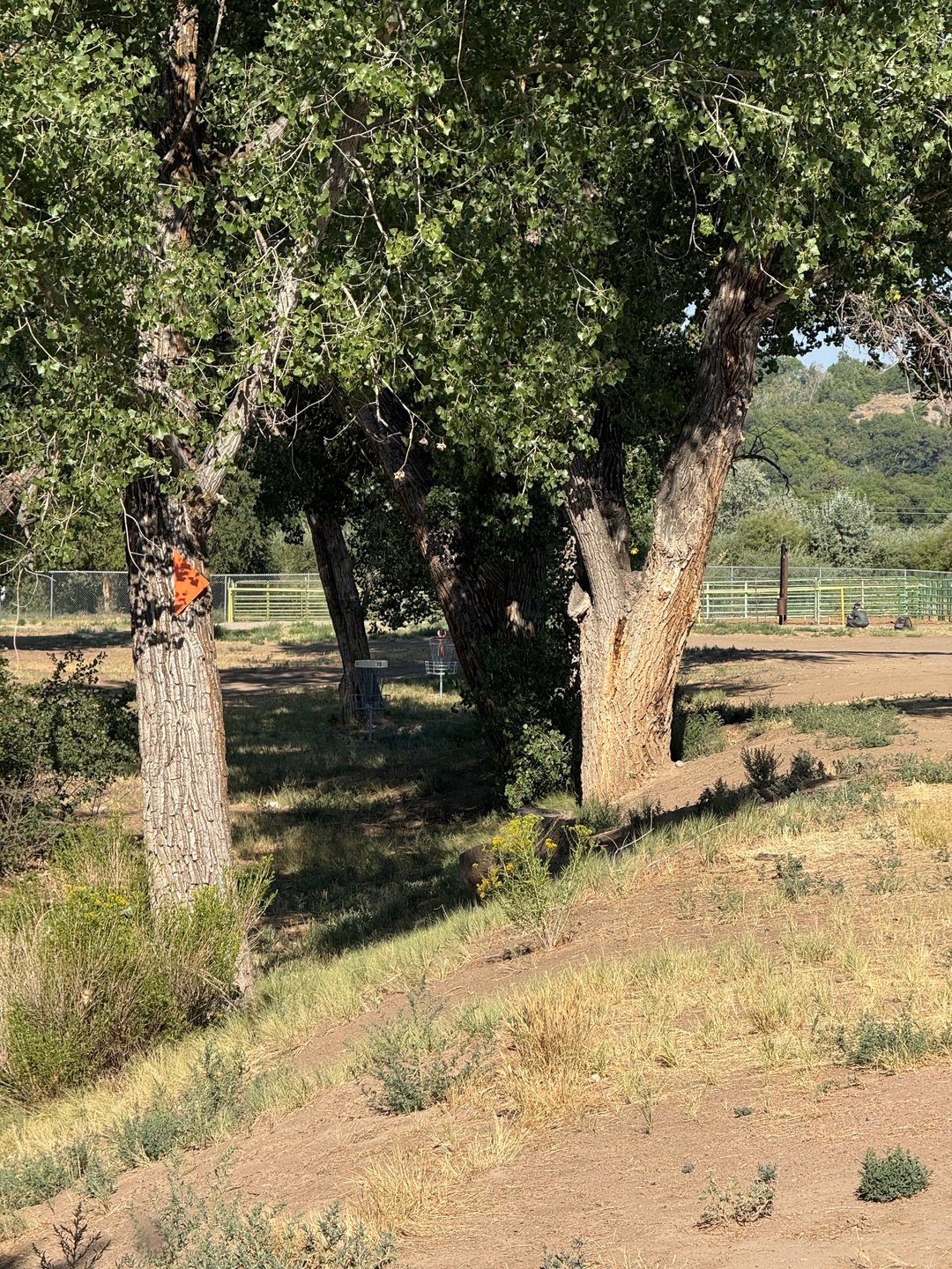 The mando on hole 15 and the short and long baskets in the background.