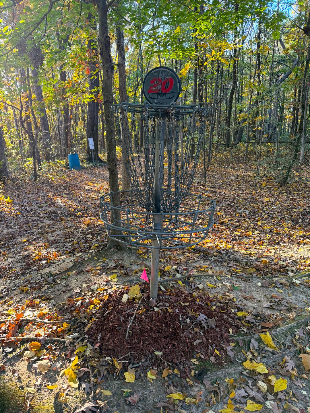 Hole 20 Basket