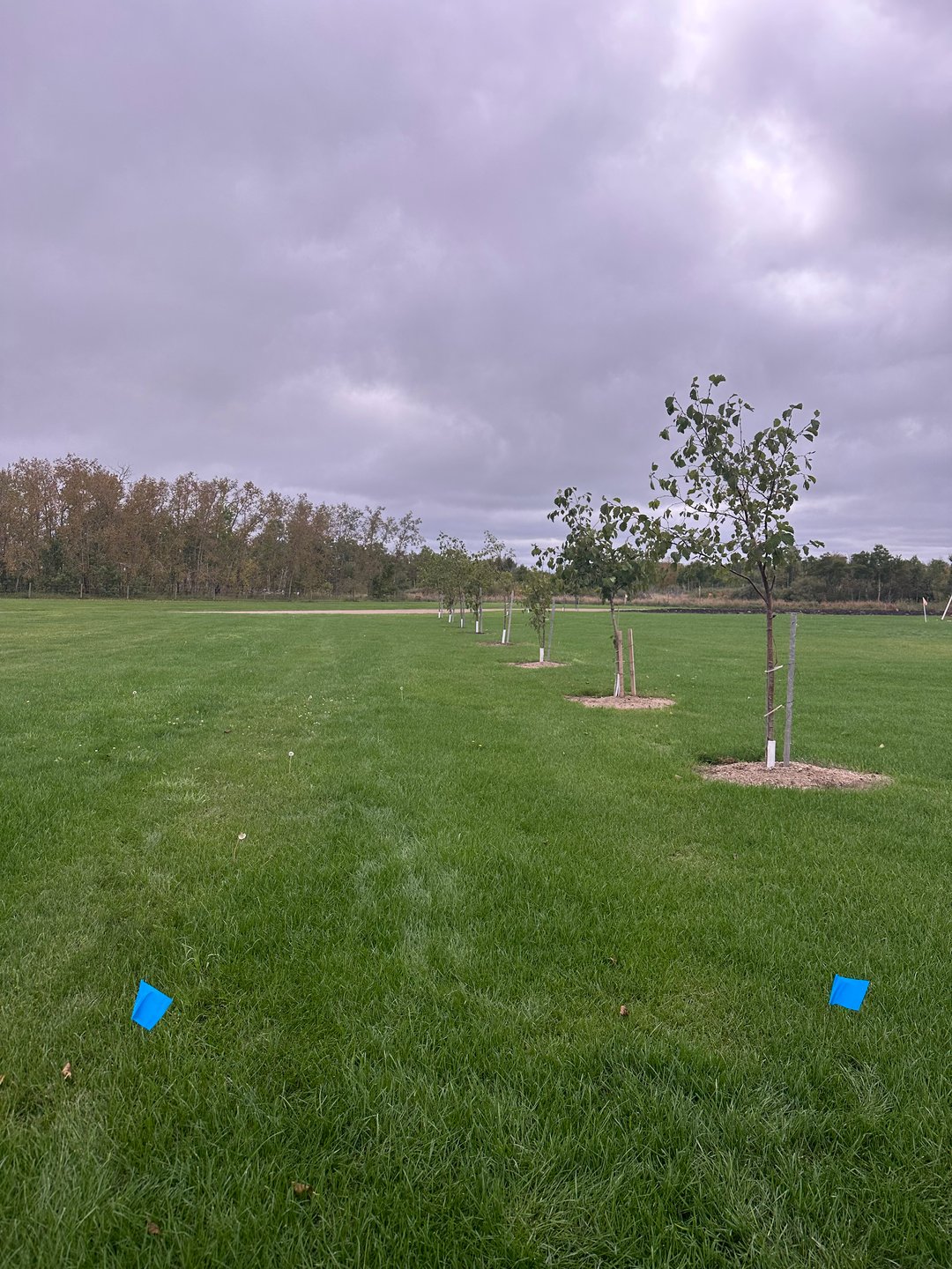 Hole 5: Gravel road and beyond fence it out of bound. 