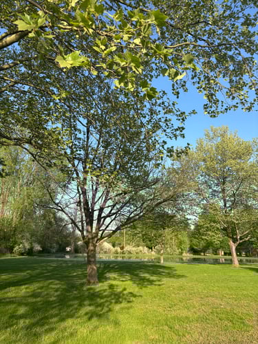 Tee 9