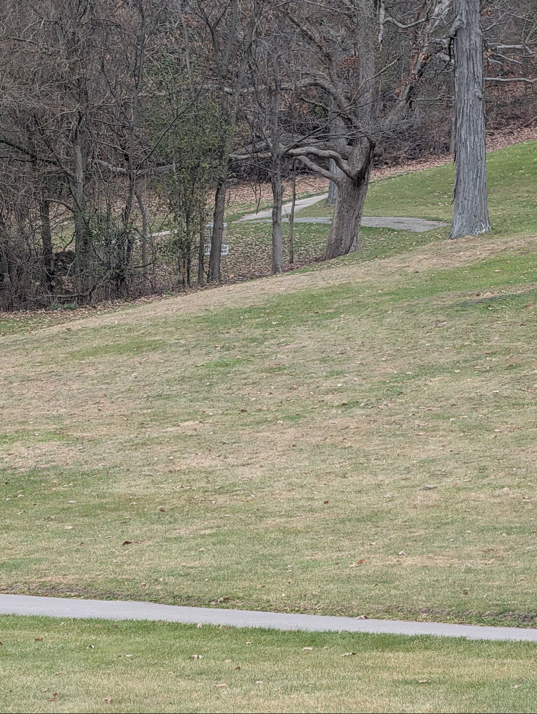 basket location zoomed in from long tee