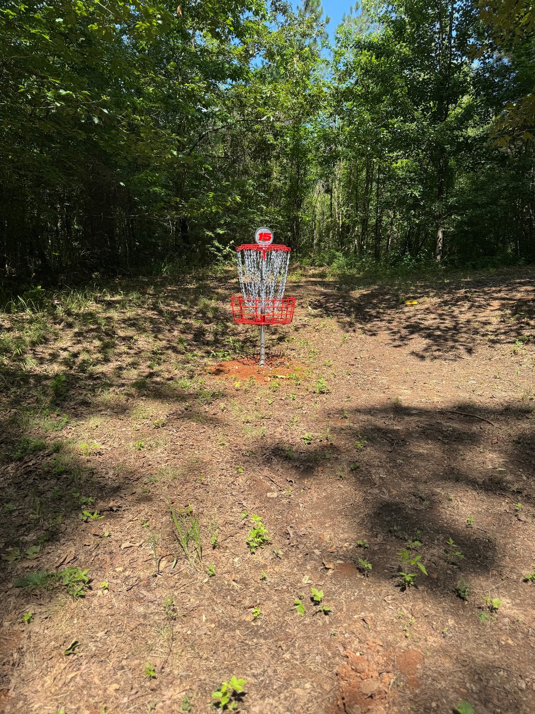 Hole 15 green