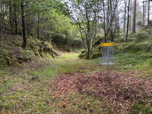 Hull 2. Fra kurv mot fairway