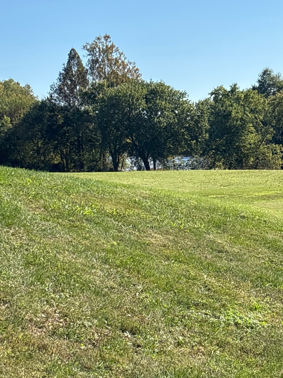 View from fairway 