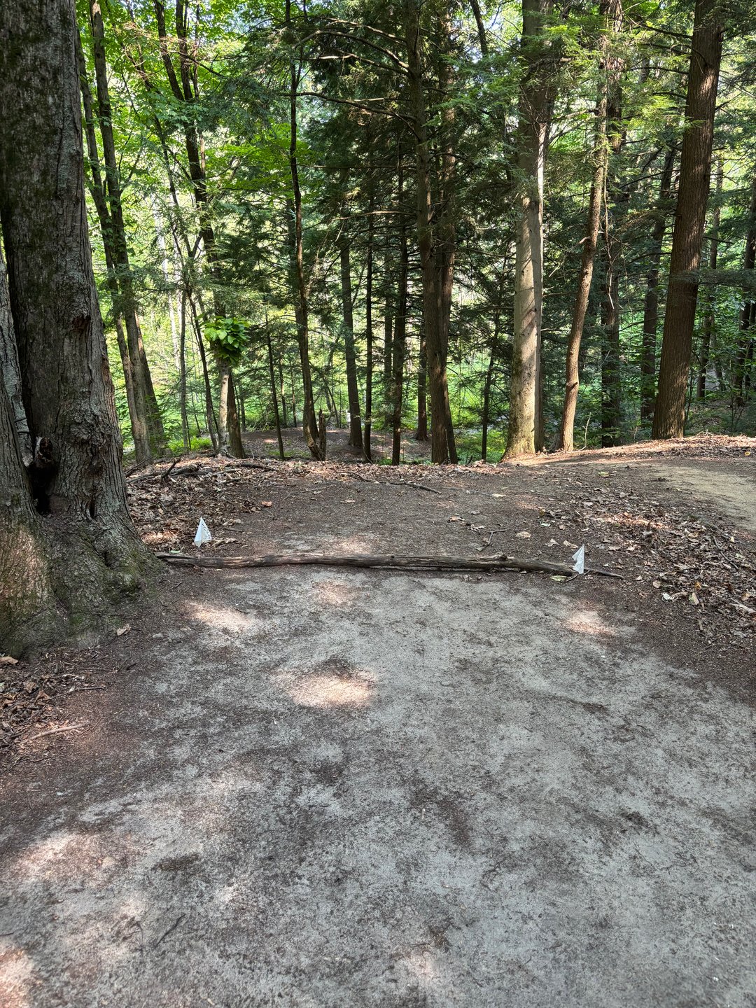 Hole 4 tee pad