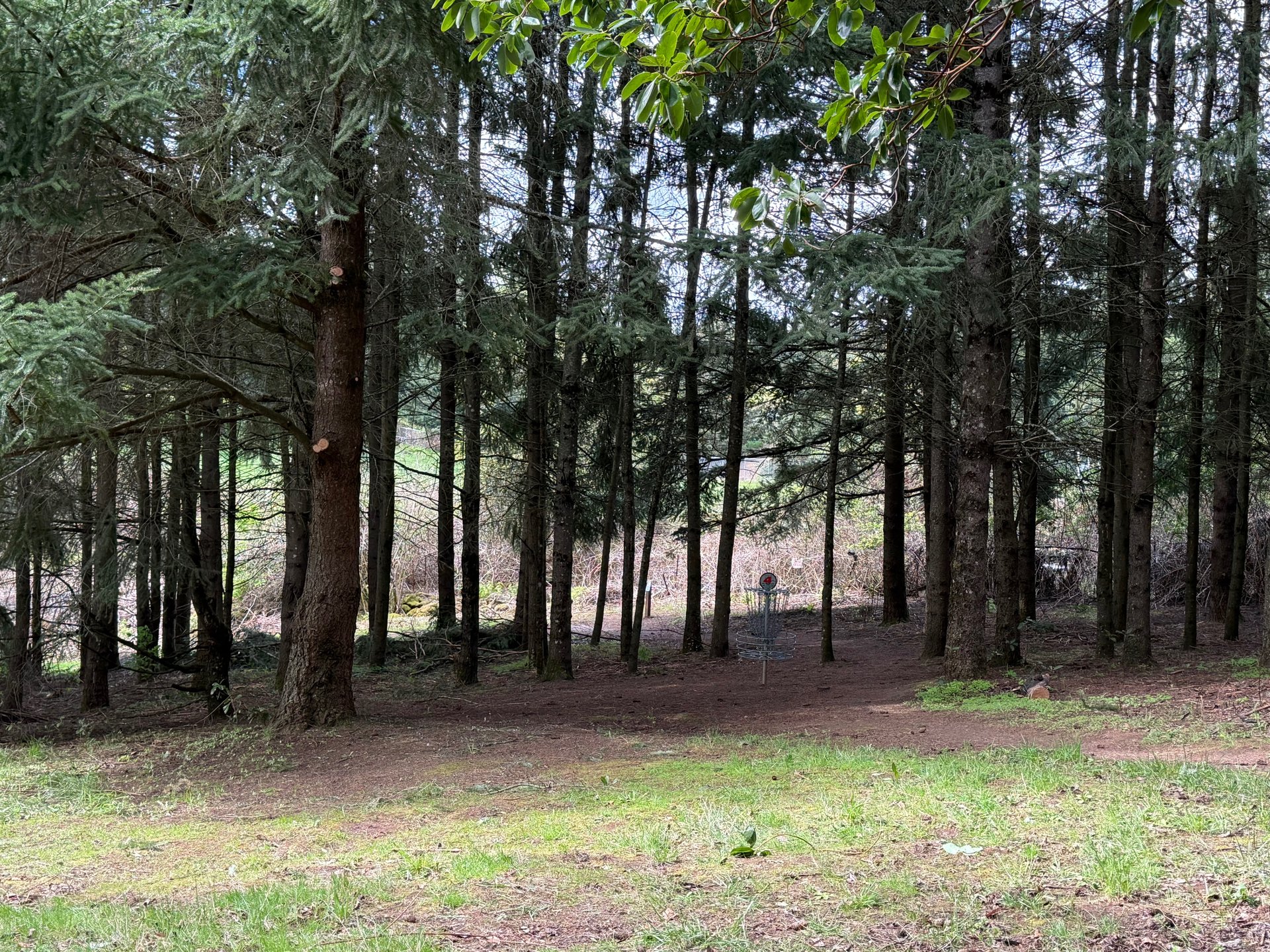 View looking at basket