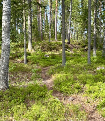 Väylä 8