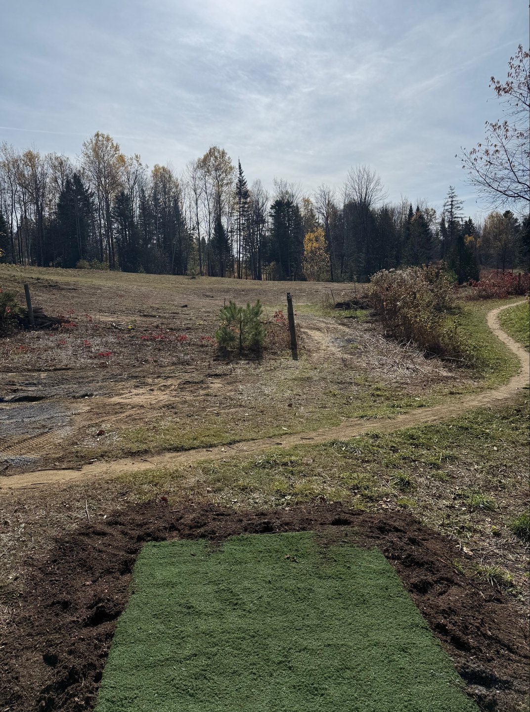 Blue tee on 12. OB in the water (small pond).