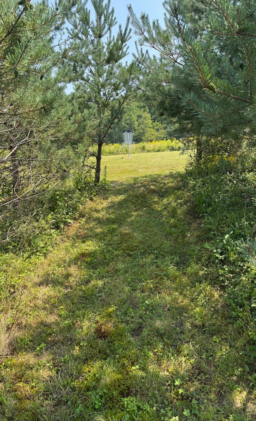 Drop zone. Front is parallel with furthest back trees in grouping. 