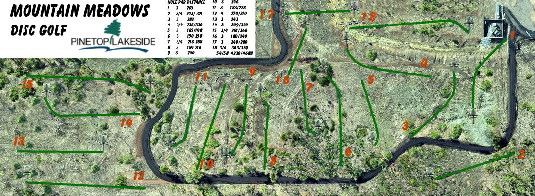 New Layout 2025
