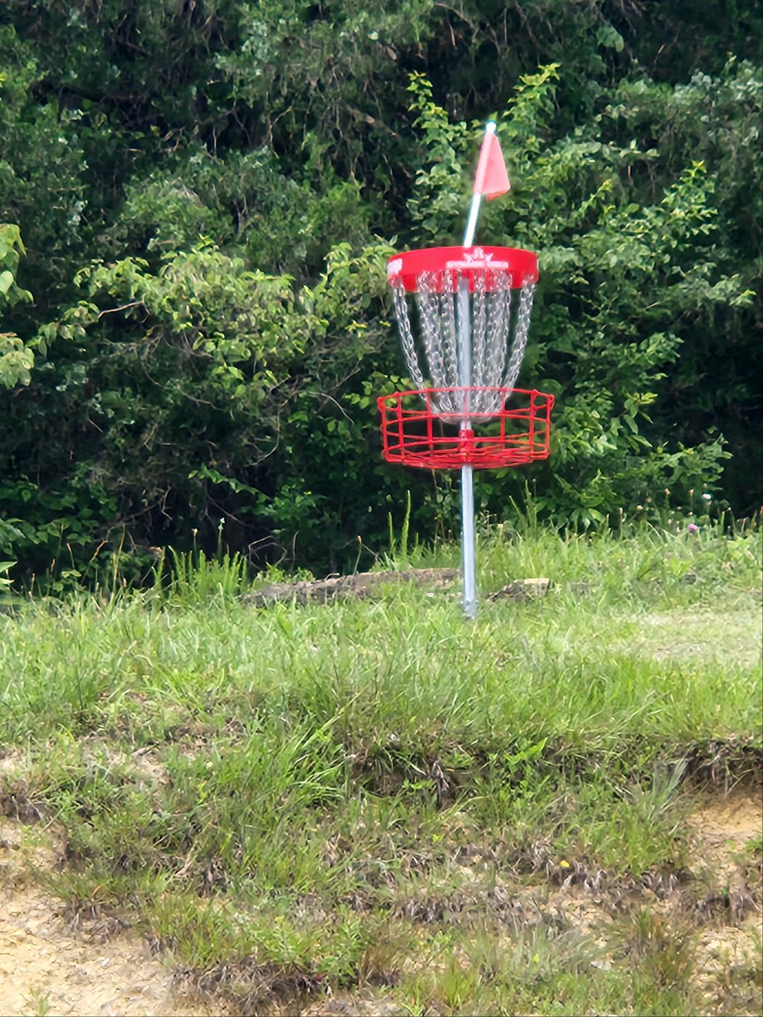 Basket location
Across gravel road and up slight hill. 