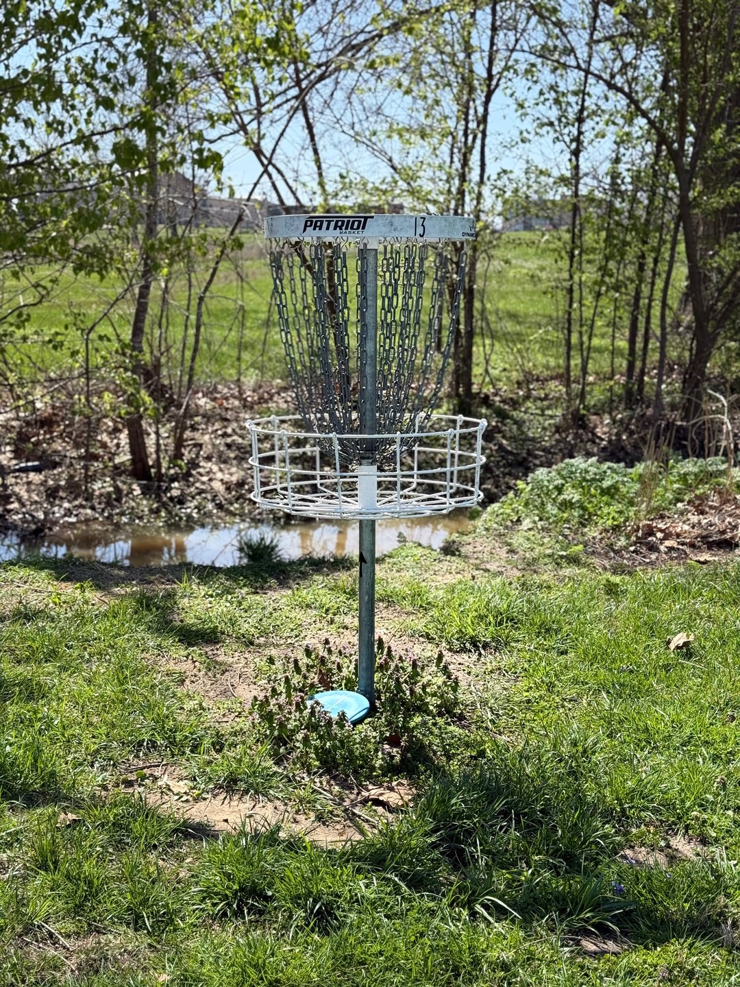 Basket on hole 13