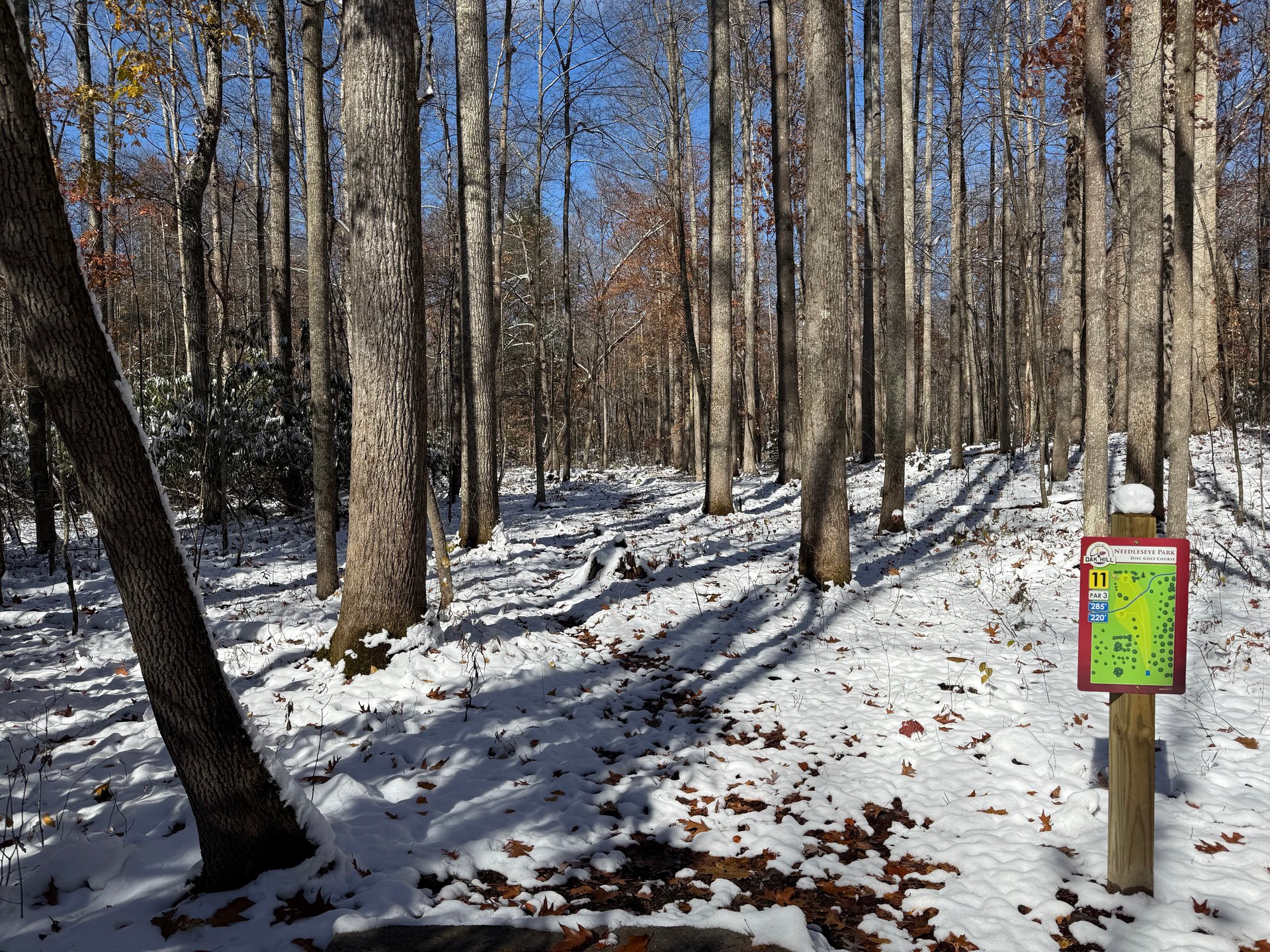 View from the teepad