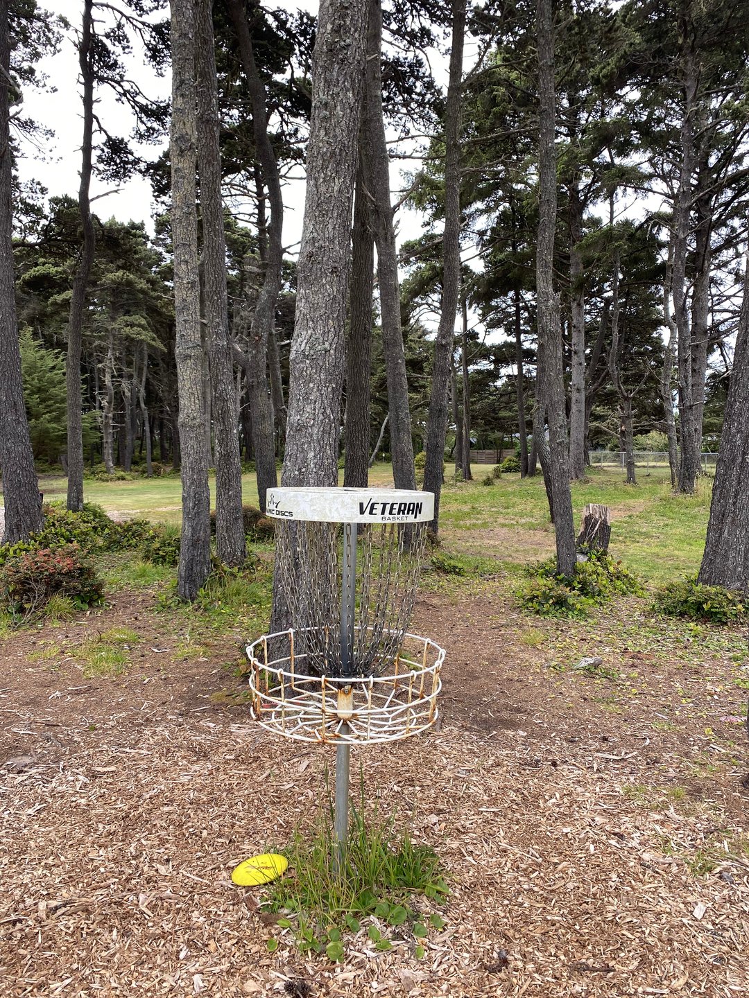 Shared Basket for Holes 3 and 12 on the Main layout, and Holes 4A and 19A on the Bandon 30 layout.