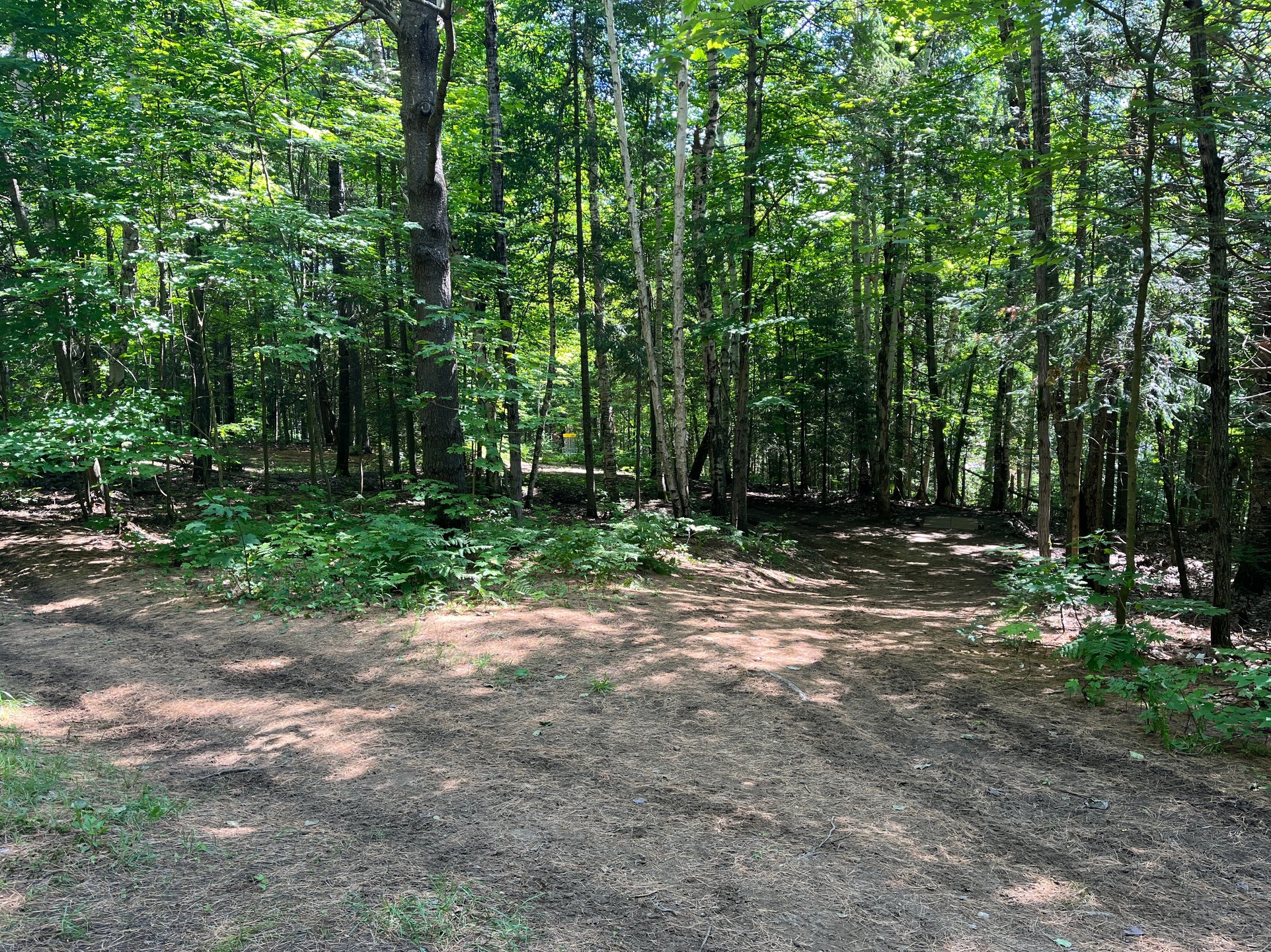 part way up the fairway