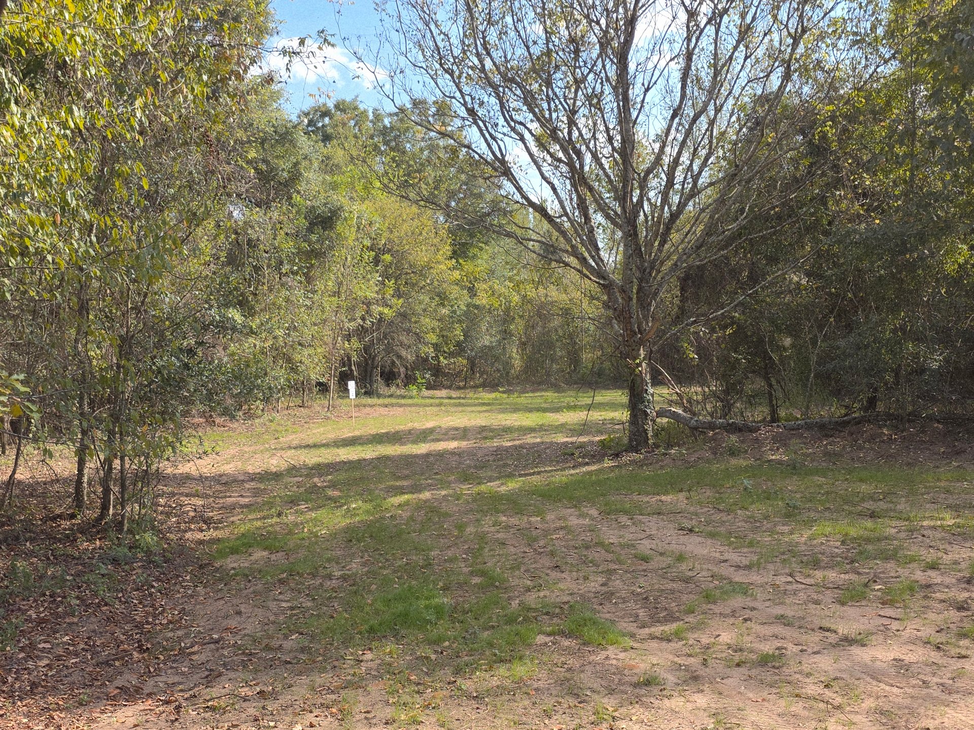 The second gap to hit on hole 11.
