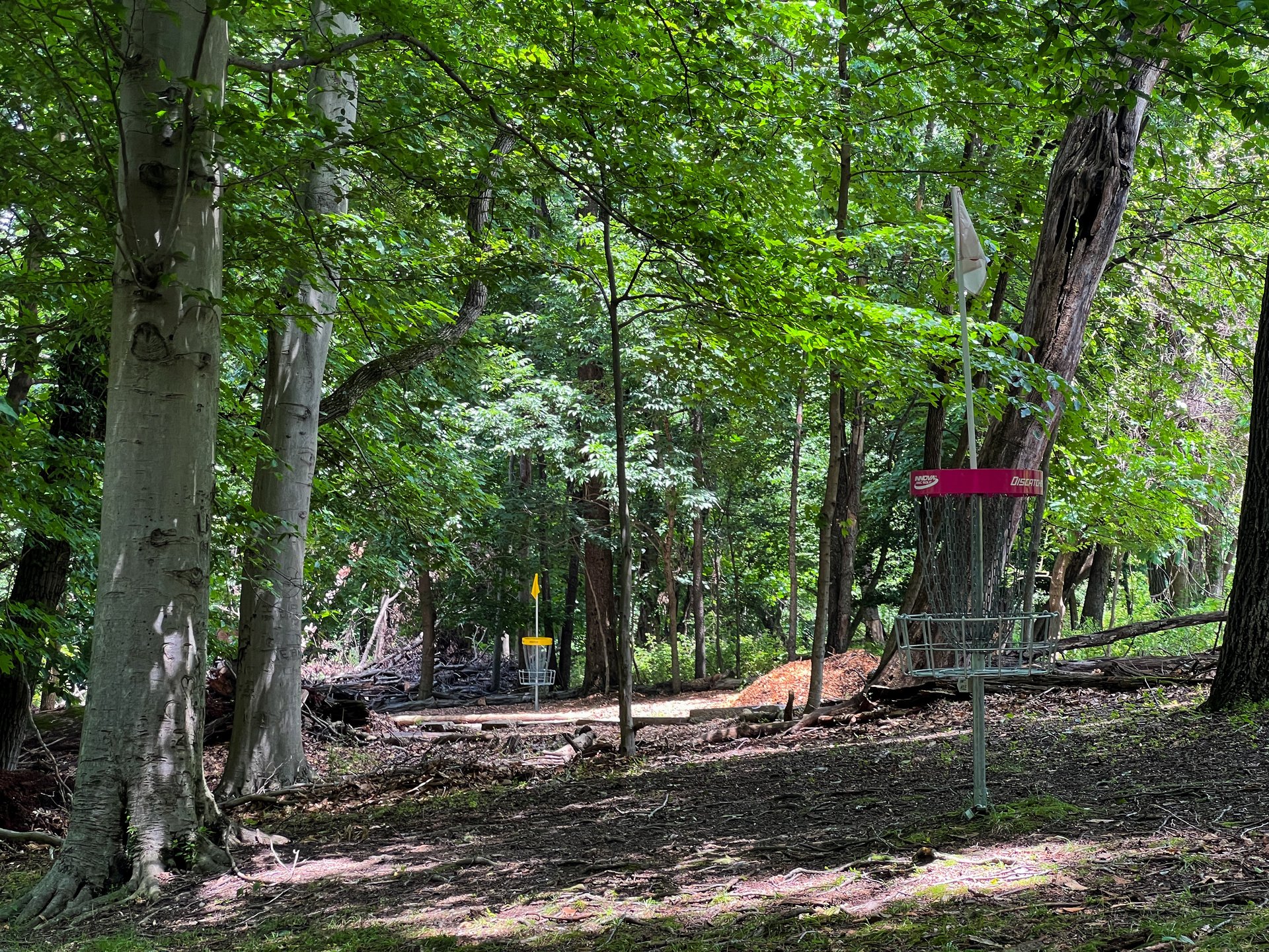 Hole 16's Pink basket is Par 3 and 238 ft. Yellow is Par 4 and 370 ft. Road is OB. 