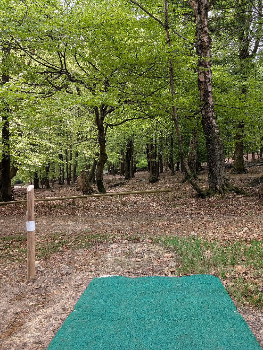 White hole 16