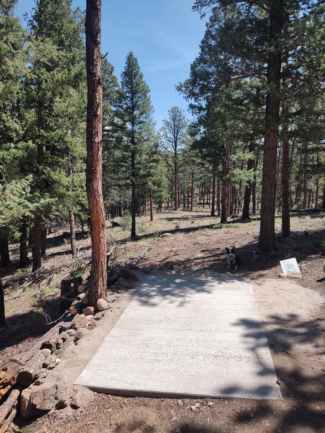 Hole 12, a long twisting downhill gem