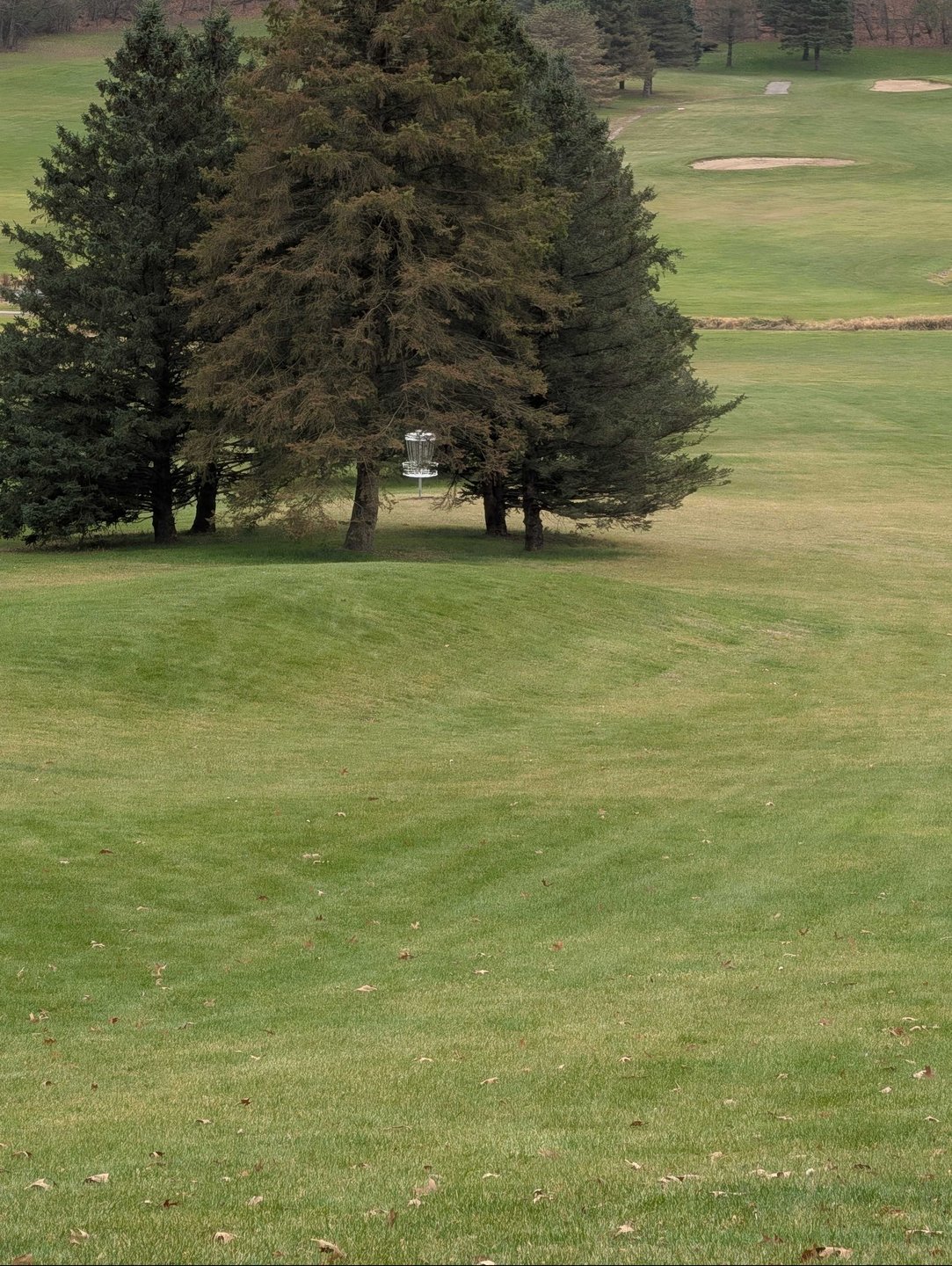 basket location zoomed in from long/short tee